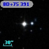 BD+75   391