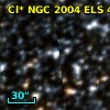 Cl* NGC 2004    ELS      44