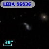 LEDA   86836
