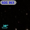 LGG 163