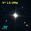 V* LS UMa