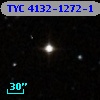 TYC 4132-1272-1