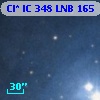 Cl* IC  348    LNB     165