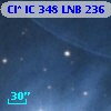 Cl* IC  348    LNB     236