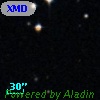 XMDS J022419.6-040314