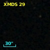 XMDS   29