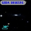 LEDA 1016591