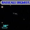 RASSCALS SRGb037.080