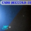 CXOU J032228.9-371242