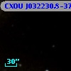 CXOU J032230.8-370736