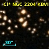 Cl* NGC 2204    MMU    4119