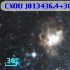 CXOU J013436.4+304713