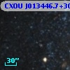 CXOU J013446.7+304449