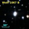 NLTT 49194