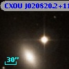 CXOU J020820.2+110041