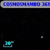COSMOSMAMBO 36W
