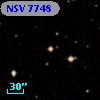 NSV  7748