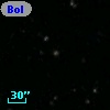 Bol 519