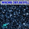 MACHO 207.16375.29