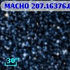 MACHO 207.16376.67