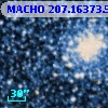 MACHO 207.16373.58