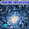 MACHO 207.16373.63