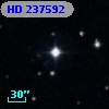 HD 237592