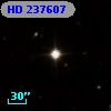 HD 237607