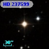 HD 237599