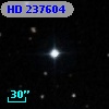 HD 237604