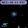 MCG+10-11-037