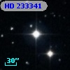 HD 233341