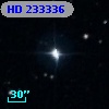 HD 233336