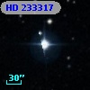 HD 233317