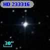 HD 233316