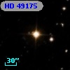 HD  49175