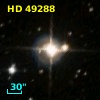 HD  49288