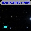 IRAS F16482+4456