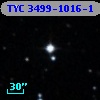 TYC 3499-1016-1