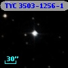 TYC 3503-1256-1