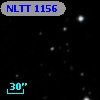 NLTT  1156