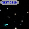 NLTT  2919