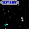 NLTT  3156