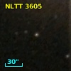 NLTT  3605