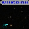 IRAS F16293+5318