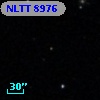 NLTT  8976
