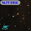 NLTT  8956