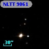 NLTT  9061