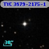 TYC 3879-2175-1