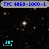 TYC 4060-1060-1